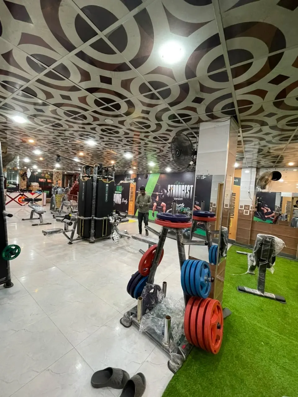 Olympic Bumper Plates & Trees